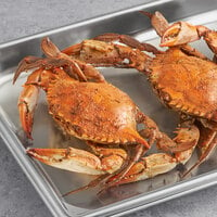 Chesapeake Crab Connection Small-Extra Large 5 inch - 7 inch Lightly Seasoned Steamed Female Crab - 1/2 Bushel