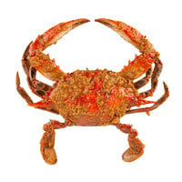 Chesapeake Crab Connection Extra Seasoned Steamed Blue Crab - 1/2 Bushel