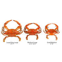 Chesapeake Crab Connection Large/Extra Large 6 inch - 7 inch Extra Seasoned Steamed Female Crab - 12/Case