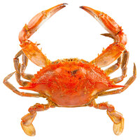 Chesapeake Crab Connection Large/Extra Large 6 inch - 7 inch Lightly Seasoned Steamed Blue Crab - 1/2 Bushel