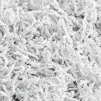 Lavex Industrial White Crinkle Cut™ Paper Shred - 10 lb.