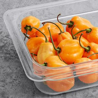 Fresh Orange Habanero Peppers 8 lb.