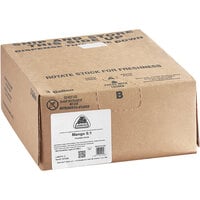 Jarritos® Mango Beverage / Soda Syrup 3 Gallon Bag in Box