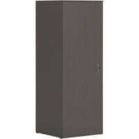 HON Mod 24" x 24" x 65" Slate Teak Laminate Wardrobe