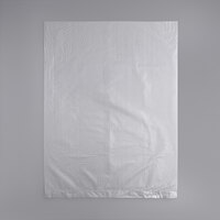 24 inch x 30 inch Kenylon Plastic Storage Bag - 100/Case