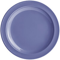 Sample - Acopa Foundations 10 inch Purple Narrow Rim Melamine Plate