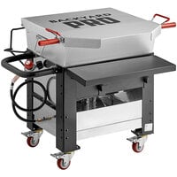 Backyard Pro BPF40 35 - 40 lb. Single Tank Portable Outdoor Fryer - 90,000  BTU