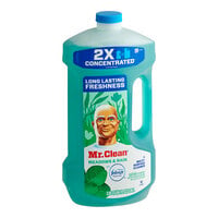 Mr. Clean Floor Care Chemicals
