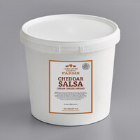 Lancaster County Farms Cheddar Salsa Cream Cheese Spread 5 lb. - 2/Case