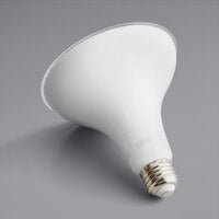 Eiko 10790 13 Watt Dimmable Flood LED Light Bulb, 1,050 Lumens, 4000K (PAR38)