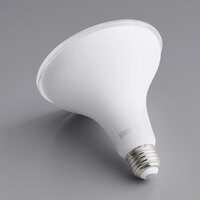 Eiko 10557 12 Watt Dimmable Flood LED Light Bulb, 1,100 Lumens, 2700K (PAR38)