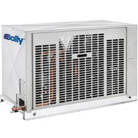 Bally Custom Walk-In Cooler / Freezer Combo with Remote Refrigeration