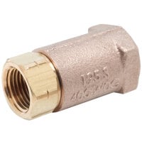 T&S B-CVH1-2 Horizontal Check Valve with 1/2 inch NPT Female Connections
