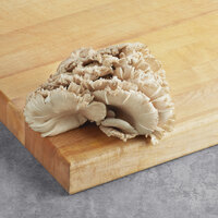 Fresh Cultivated Blue Oyster Mushrooms 1 lb.