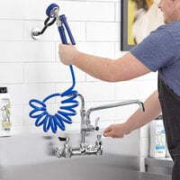 Waterloo 2.6 GPM Wall-Mounted Pet Grooming / Utility Faucet with 8 inch Centers, 9' Coiled Hose, and 12 inch Add-On Faucet