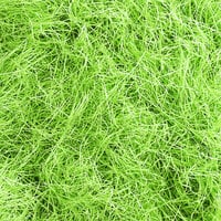 Lavex Industrial Lime Green Very Fine™ Paper Shred - 10 lb.