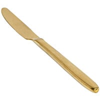 Front of the House Luca 9 1/4 inch 18/10 Stainless Steel Extra Heavy Weight Matte Brass Dinner Knife - 12/Case