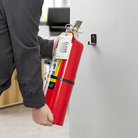 Badger Advantage ADV-10 10 lb. Dry Chemical ABC Fire Extinguisher with Wall Bracket - Tagged and Rechargeable
