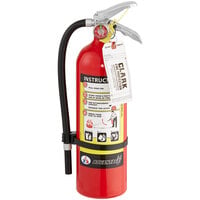 Badger Advantage ADV-550 5 lb. Dry Chemical ABC Fire Extinguisher with Wall Bracket - Tagged and Rechargeable