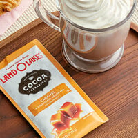 Land O Lakes Cocoa Classics Caramel and Chocolate Cocoa Mix Packet - 12/Box