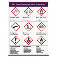 Accuform 22" x 17" Laminated Plastic Hazard Pictograms and Classes GHS Poster SP125103L