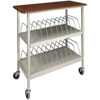 Omnimed Artisan Series Beige Chart Rack with Cherry Wood Top