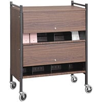Omnimed Versa Woodgrain Cabinet Style Rack with Locking Panels
