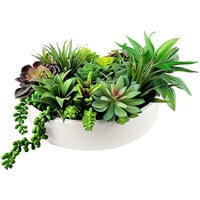 LCG Sales Artificial Succulent Garden in White Ceramic Dish