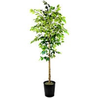 LCG Sales 6' Artificial Ficus Tree in Embossed Black Metal Planter