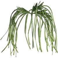 Kalalou 28 Artificial Large White Flower Stems - 6/Case