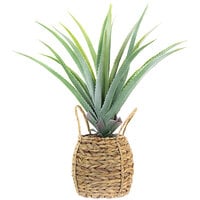 Kalalou Artificial Aloe Plant in Woven Seagrass Pot