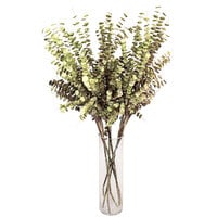 Kalalou 42" Artificial Eucalyptus Stems - 6/Case