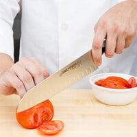 Dexter-Russell 29283 V-Lo 9 inch Santoku Chef Knife with Duo-Edge