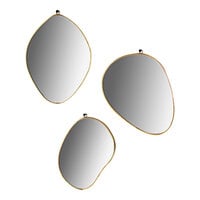 Kalalou 3-Piece Organic Shape Brass Framed Mirrors Set