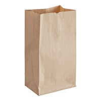 Choice 20 lb. Natural Kraft Paper Bag - 500/Case