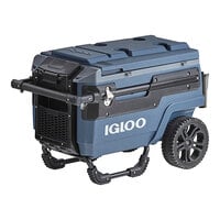 Igloo 10 Gallon Turf Series Insulated Beverage Dispenser / Portable Water  Cooler 42052
