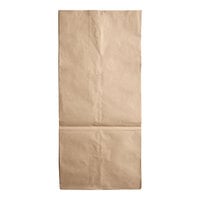 Duro 30 Gallon Self-Standing 2-Ply Natural Kraft Paper Lawn and Leaf Bag 13818 - 50/Case
