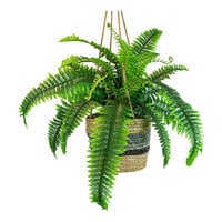 LCG Sales 30" Artificial Boston Fern in Tri-Color Hanging Basket