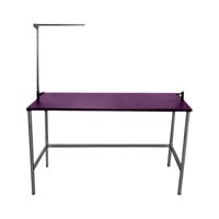 Groomer's Best GB48SST-PU 24" x 48" x 54" Purple Stainless Steel Stationary Grooming Table with Arm