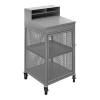 Winholt Gray Steel Enclosed Mesh Receiving / Shop Desk with Lockable Desktop OTE-2224-GY