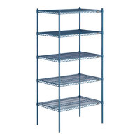 Lavex Pro 24" x 36" NSF Blue Epoxy Heavy-Duty 5-Shelf Kit with 74" Posts and Antimicrobial Coating