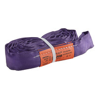 Lift-All 6' Purple Tuflex Endless Polyester Roundsling EN30X6