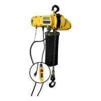 OZ Lifting Products 1 Ton Electric Chain Hoist with 30' Lift OZ2000EC-30 - 13 FPM, 115V