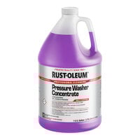 Rust-Oleum Professional Cleaners 352251 1 Gallon Pressure Wash Concentrate - 4/Case