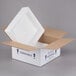 A white Polar Tech insulated shipping box with a white lid open.
