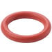 A red rubber o-ring with a white background.