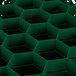 A green plastic grid with 30 hexagonal compartments.