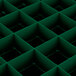 A green plastic grid with white square compartments.