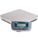 An Edlund stainless steel digital pizza scale on a table.