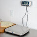 A silver Edlund digital pizza scale on a counter with a pizza on a plate.